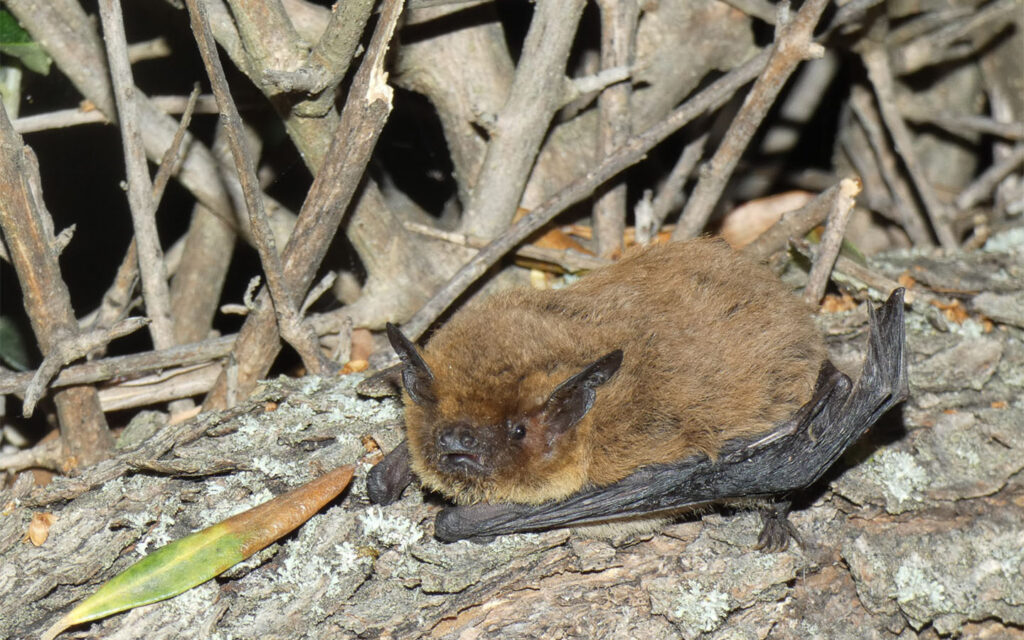 Matalda_V06_M02_P-kuhl