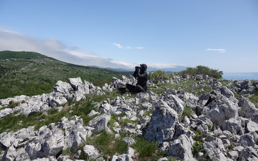 VP5_MMM_Method_18.05.2023 (1)